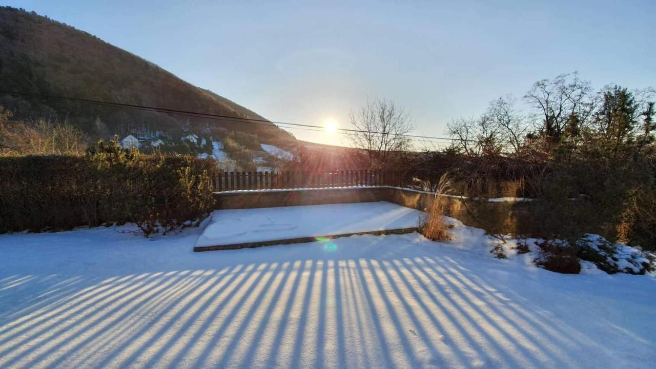Вилла Garden View Дриеница Экстерьер фото